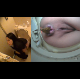 This 720P HD, high-quality, Japanese bowlcam video features an attractive woman shitting into a western-style toilet rigged with a camera. Split-screen presentation and perfect audio! Individual clip for quick download.